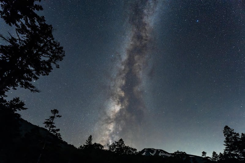 Predestination Paradox